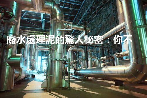 廢水處理泥的驚人秘密：你不明白的環(huán)保新突破！